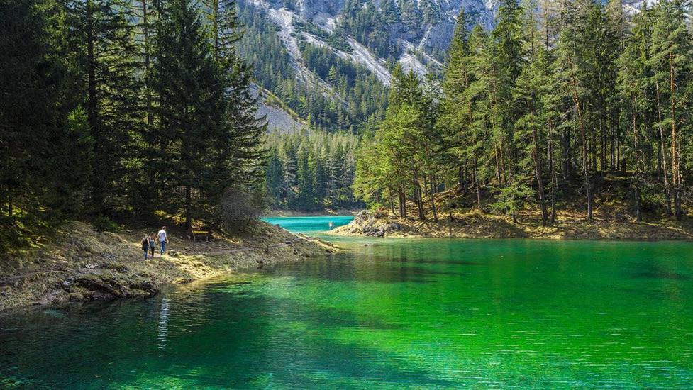 Apartments Am Kirchkogel "Laendliche Entspannung Im Herzen Der Steiermark" Pernegg an der Mur Стая снимка